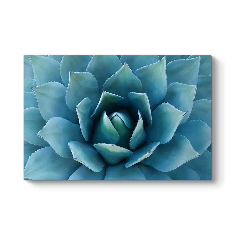 Aloe Vera Kaktüs Kanvas Tablo - Model 1